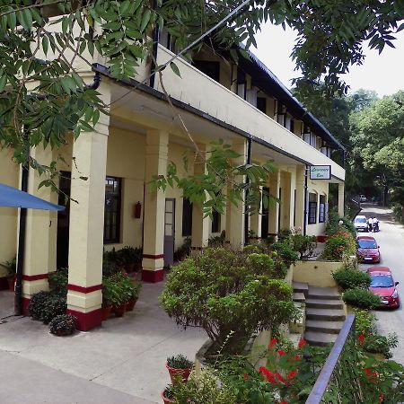 Alasia Hotel 카사울리 외부 사진