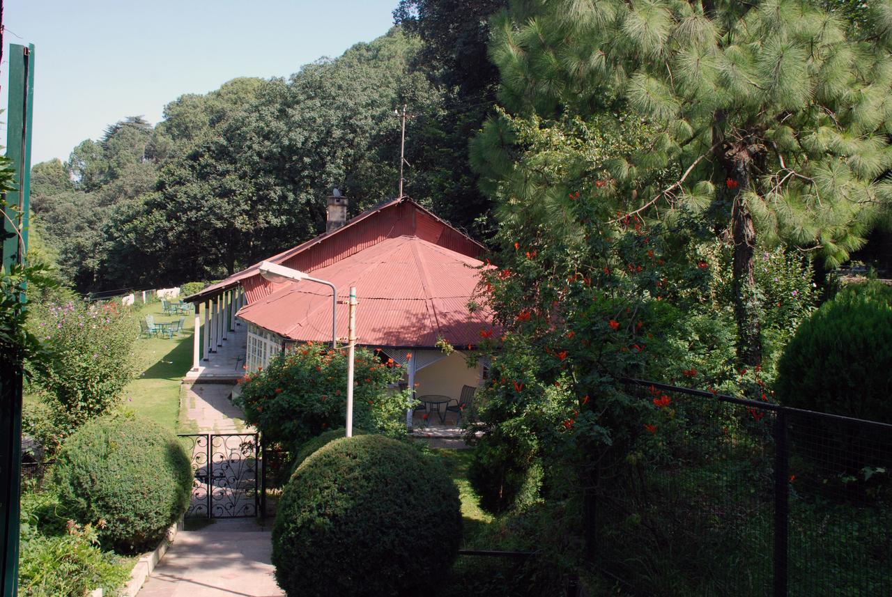 Alasia Hotel 카사울리 외부 사진